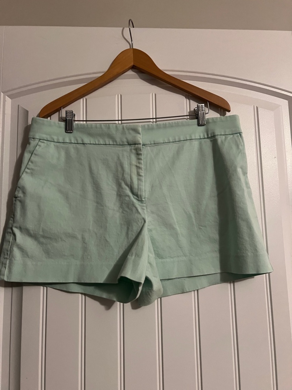 LOFT The Rivera Short Size 14